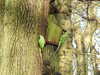20210117121304-DSCN6239.JPG