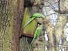 20210117121333-DSCN6242.JPG