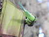 20210117121349-DSCN6244.JPG