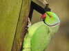 20210117121429-DSCN6250.JPG