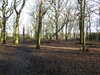 20210117121625-DSCN6255.JPG