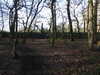 20210117122856-DSCN6261.JPG