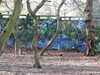 20210117122905-DSCN6264.JPG