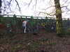 20210117122933-DSCN6265.JPG