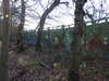 20210117122939-DSCN6266.JPG
