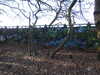 20210117122955-DSCN6267.JPG