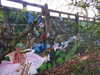 20210117123050-DSCN6269.JPG