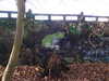 20210117123113-DSCN6271.JPG
