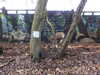 20210117123132-DSCN6272.JPG