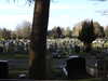 20210117123405-DSCN6277.JPG