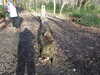 20210117123802-DSCN6284.JPG