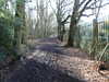 20210117124207-DSCN6290.JPG