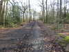 20210117124605-DSCN6296.JPG