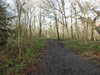 20210117125112-DSCN6302.JPG