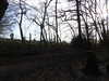 20210117125634-DSCN6304.JPG