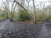 20210117125743-DSCN6305.JPG