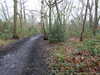 20210117125815-DSCN6306.JPG