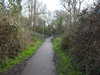 20210117131146-DSCN6314.JPG