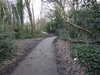 20210117131220-DSCN6315.JPG