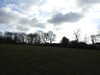 20210117131415-DSCN6317.JPG