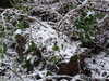 20210124121252-DSCF5684.JPG
