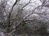 20210124121259-DSCF5685.JPG