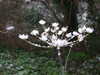 20210124121434-DSCF5690.JPG