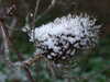 20210124121445-DSCF5692.JPG