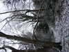 20210124121956-DSCF5701.JPG