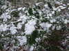 20210124122103-DSCF5703.JPG