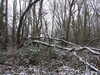 20210124122303-DSCF5704.JPG
