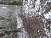 20210124122352-DSCF5705.JPG
