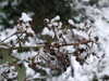 20210124122739-DSCF5709.JPG