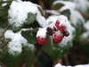 20210124123415-DSCF5713.JPG