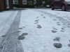 20210124123743-DSCF5716.JPG