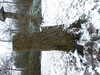 20210124125440-DSCF5726.JPG