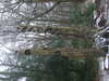 20210124125741-DSCF5728.JPG