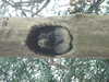 20210124125746-DSCF5729.JPG