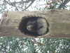 20210124125753-DSCF5730.JPG