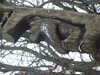 20210124125758-DSCF5731.JPG