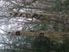 20210124125802-DSCF5732.JPG