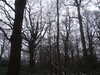 20210124125858-DSCF5734.JPG