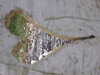 20210124130000-DSCF5737.JPG
