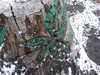 20210124130006-DSCF5738.JPG