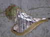 20210124130015-DSCF5739.JPG
