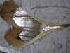20210124130029-DSCF5740.JPG