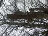 20210124130113-DSCF5743.JPG
