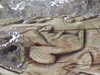 20210124130121-DSCF5744.JPG