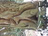 20210124130133-DSCF5745.JPG