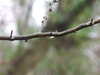 20210124130357-DSCF5746.JPG